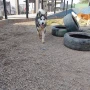 Foto 48