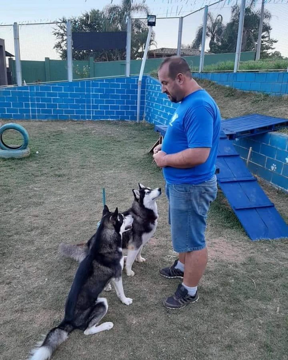 Foto 47:  — Pet Hotel do Conde