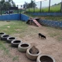 Foto 46