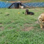 Foto 39