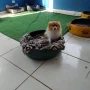 Foto 32