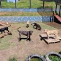 Foto 38