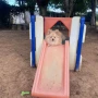 Foto 31