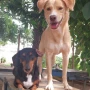 Foto 18