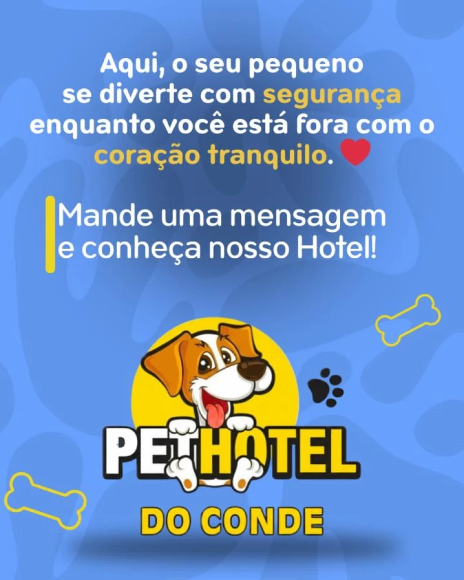 Foto 11:  — Pet Hotel do Conde