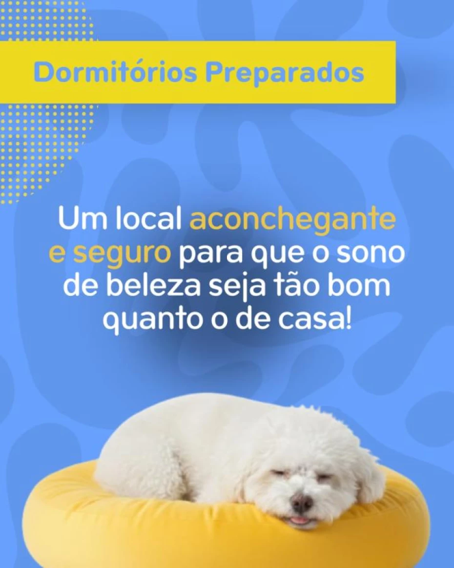 Foto 10:  — Pet Hotel do Conde