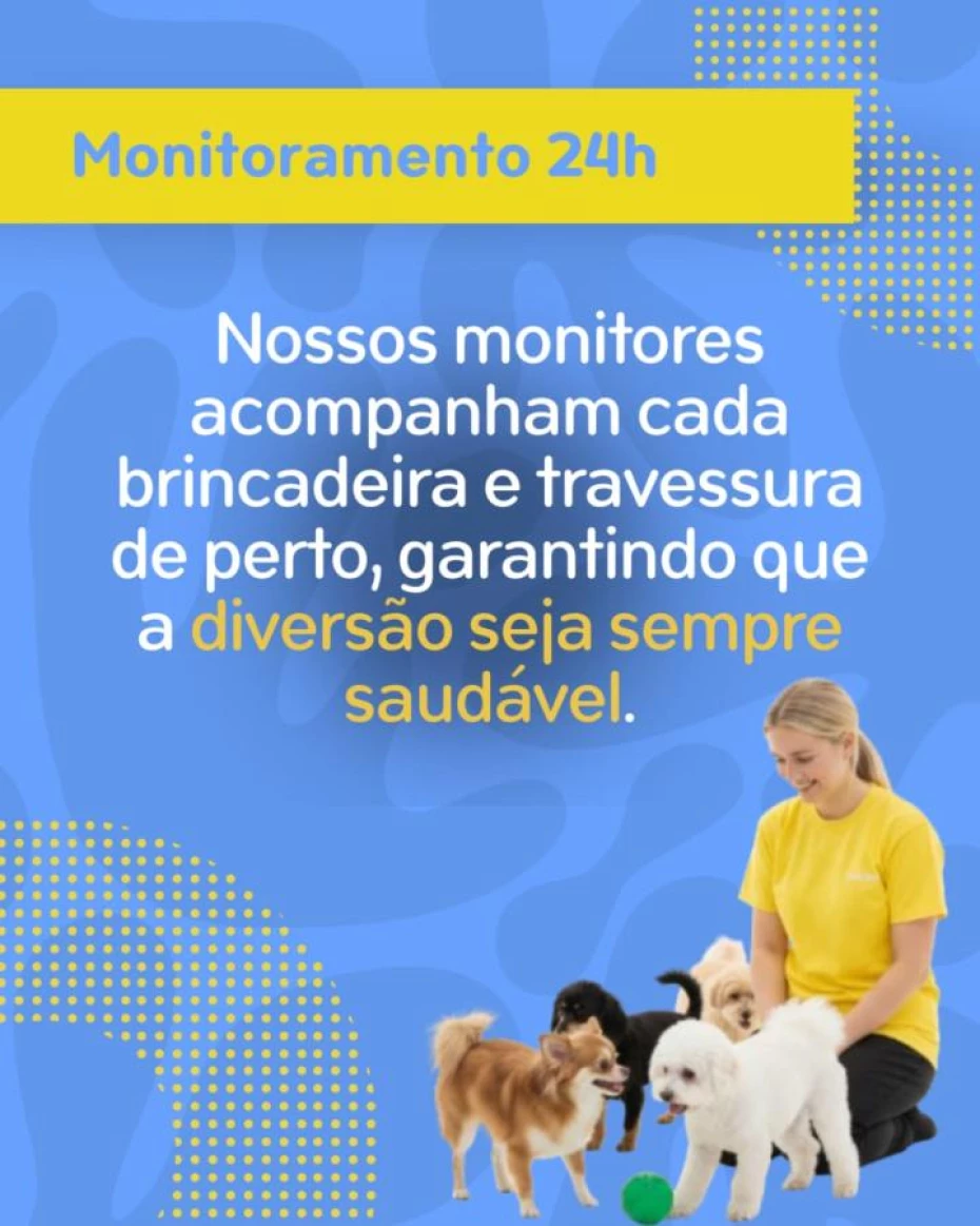 Foto 9:  — Pet Hotel do Conde
