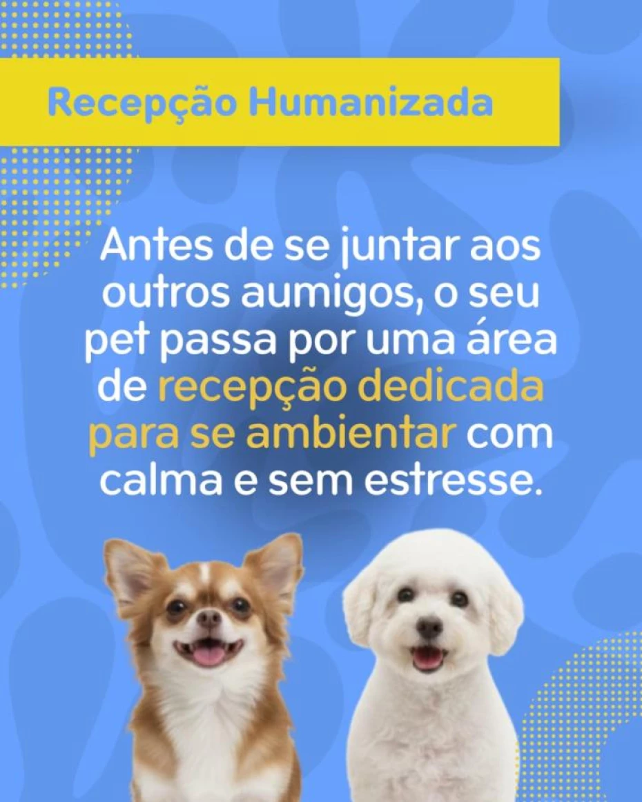 Foto 8:  — Pet Hotel do Conde
