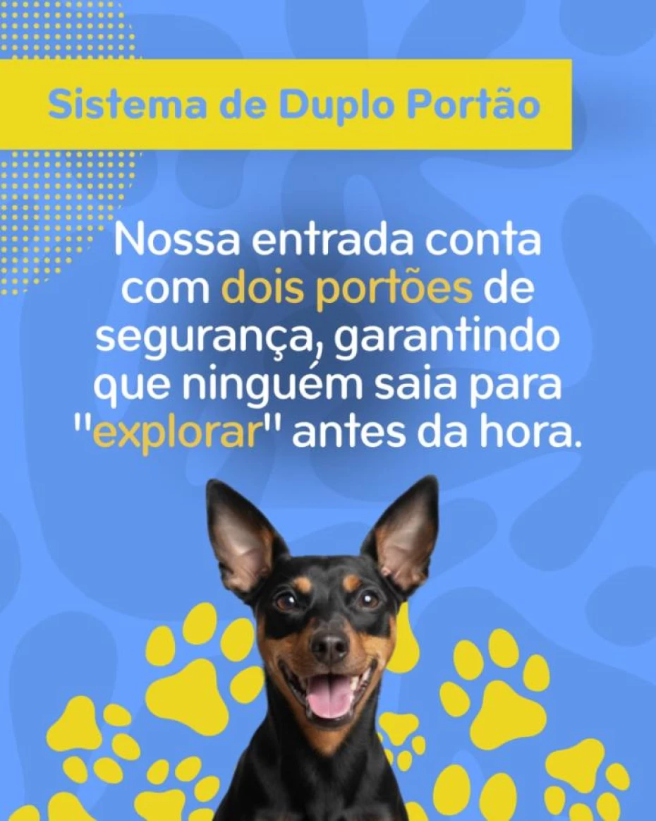 Foto 7:  — Pet Hotel do Conde