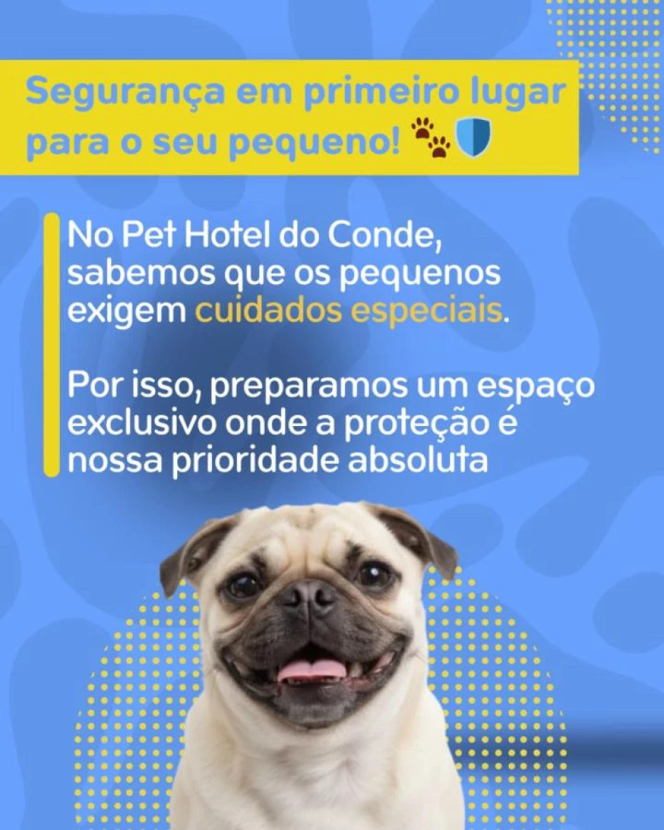 Foto 6:  — Pet Hotel do Conde